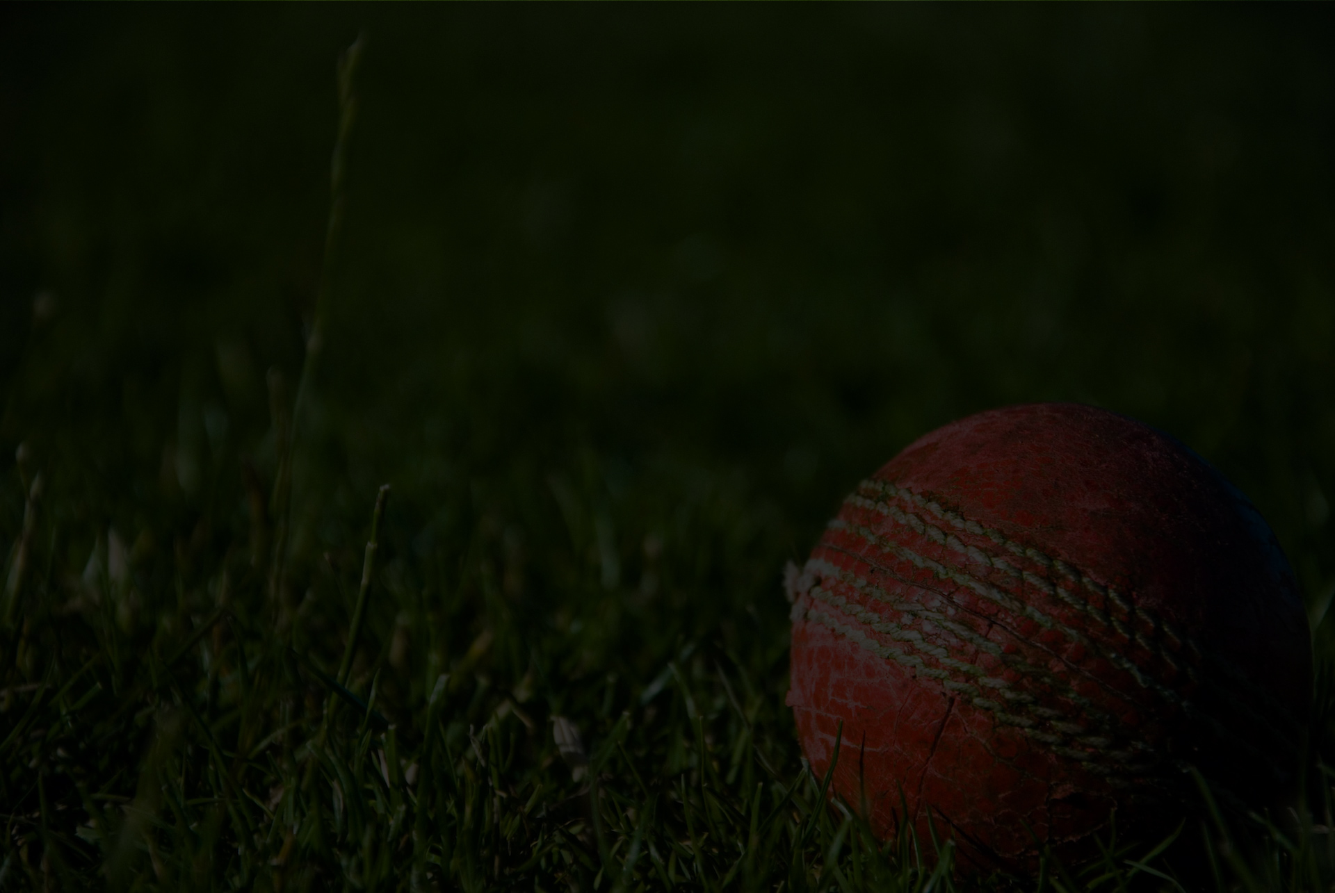 cricket gallery