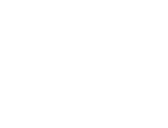 shapes